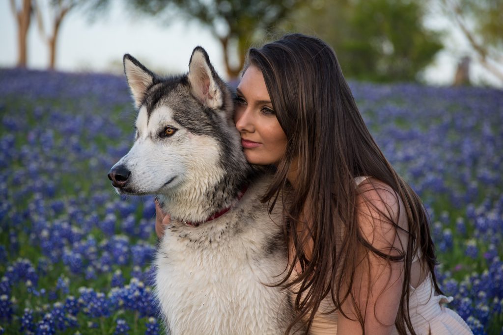 Chien-bras-fille-lavande